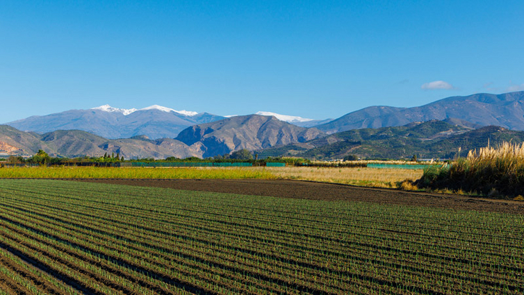 Motril-Landschaft-mit-Sierra-Nevada-AdobeStock_1804821525.jpg