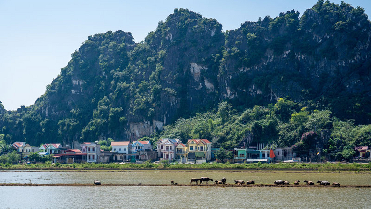 Der-Rote-Fluss-bei-Ninh-Binh---Credit-Angela-Meier---stock.adobe.jpg
