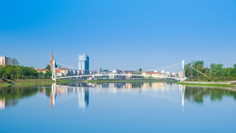 iStock-1484794808.jpg