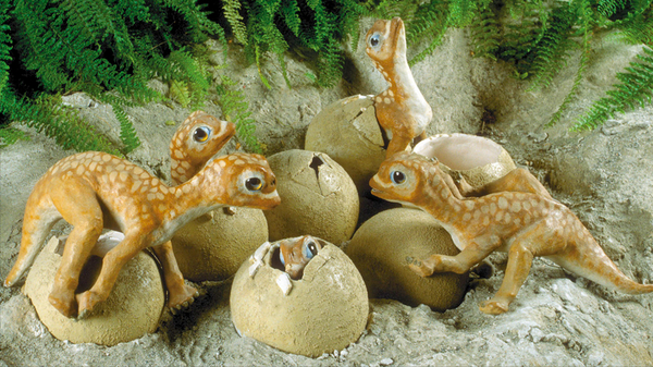 Dino Babys im Sauriermuseum Aathal