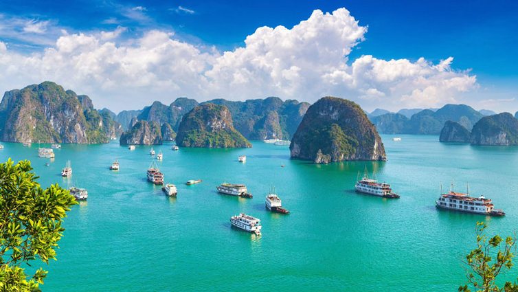 Halong-Bucht---Credit-Sergii-Figurnyi---stock.adobe.jpg